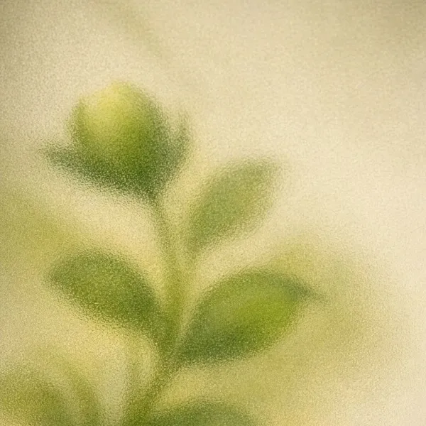 Meditation 10 Min
